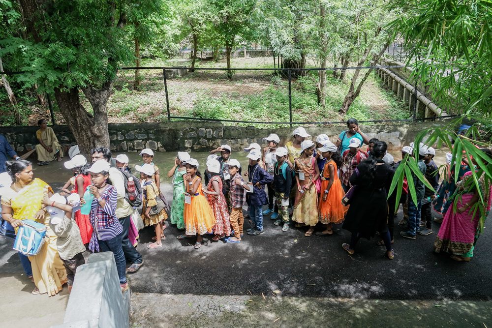 Group at the zoo