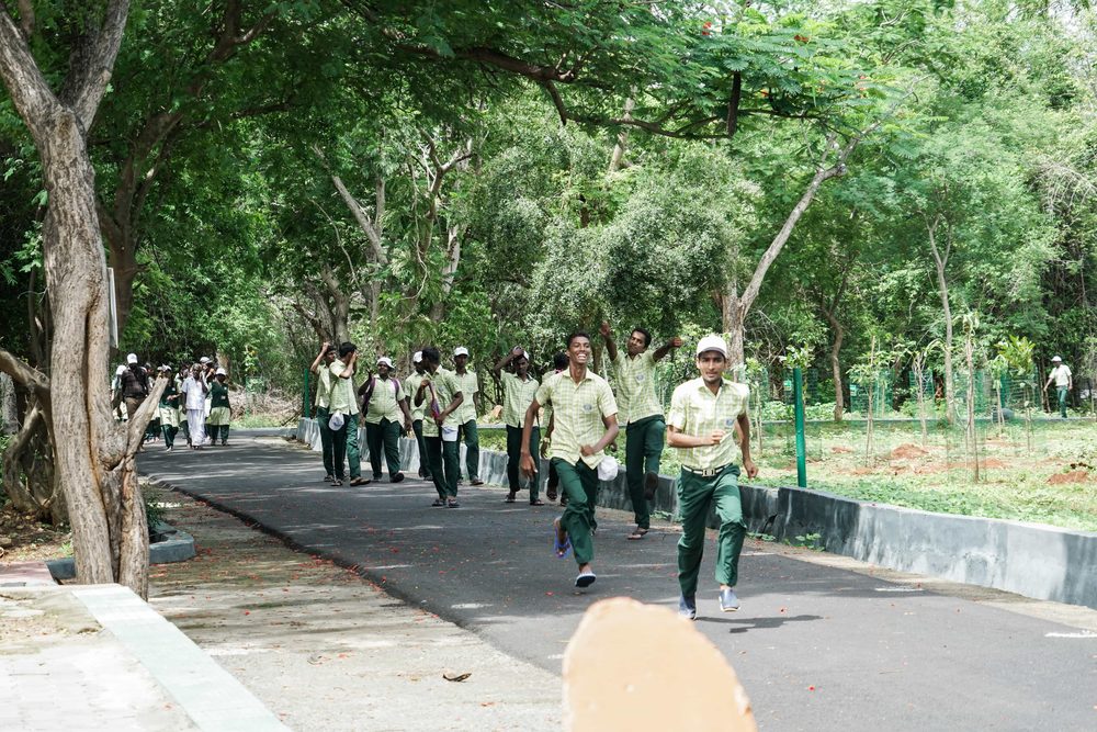 Children walking the zoo